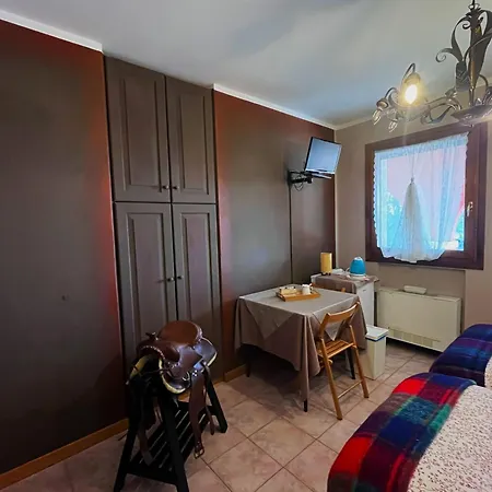 Papaveri E Papere *